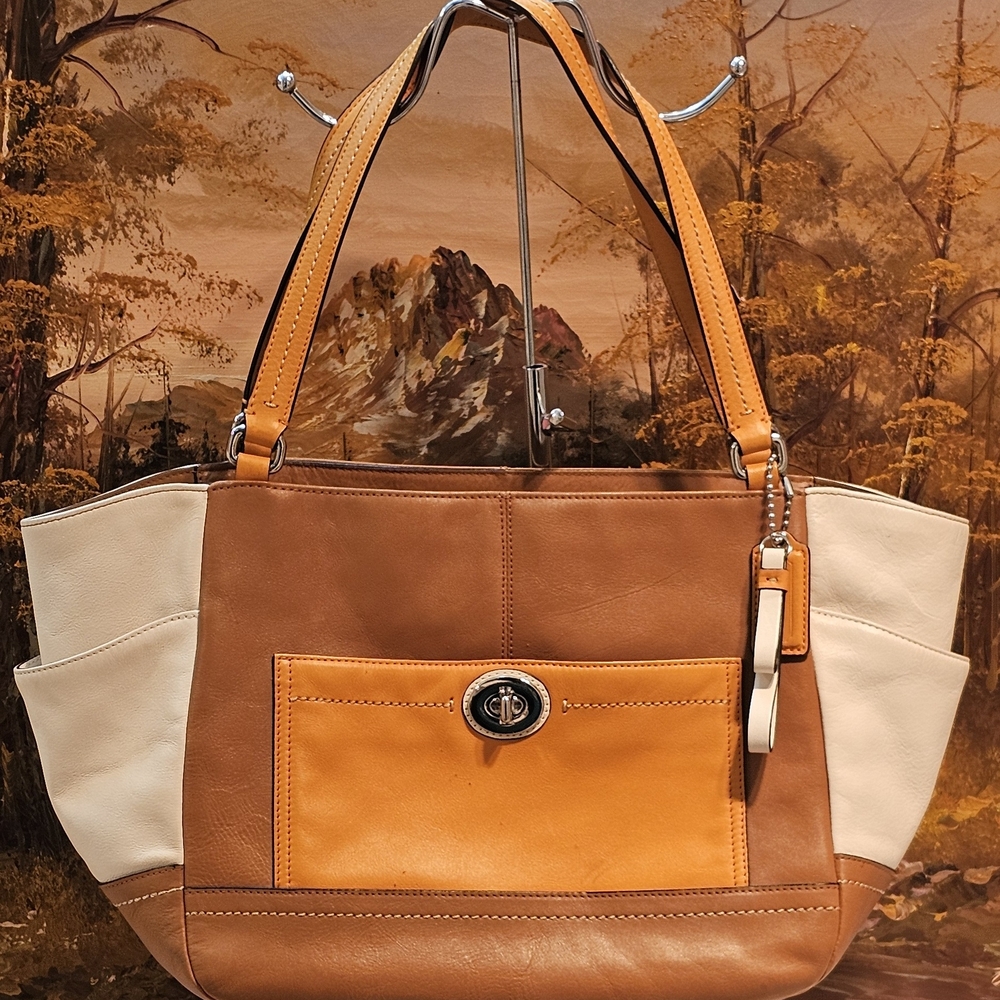 Coach Carrie Colorblock Leather Shoulder Bag